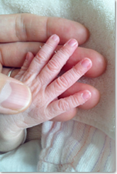 赤ちゃんの手